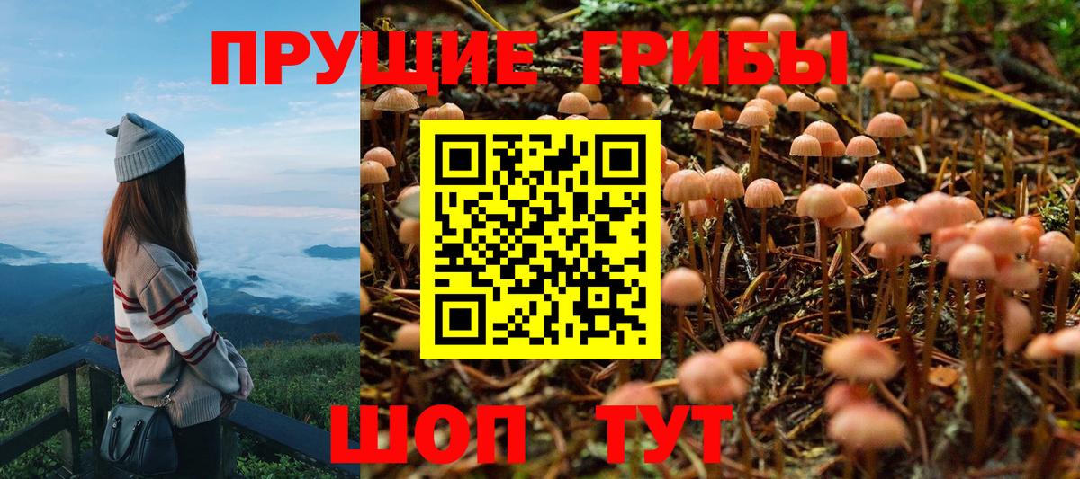 Псилоцибиновые грибы Magic Shrooms Саянск